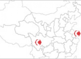 Operations 